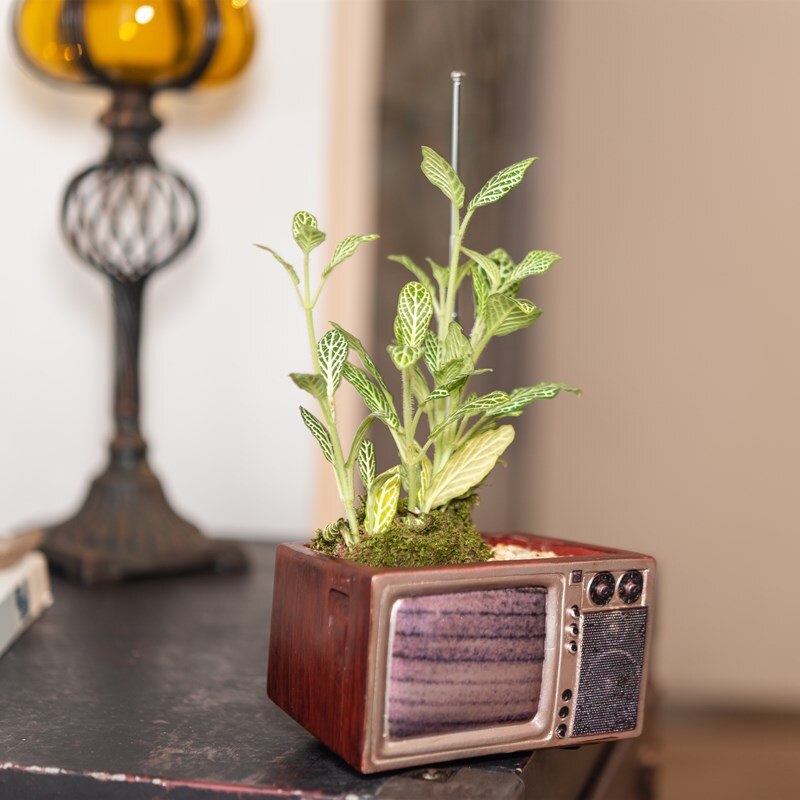 Retro Radio TV Succulent Pot | Veska