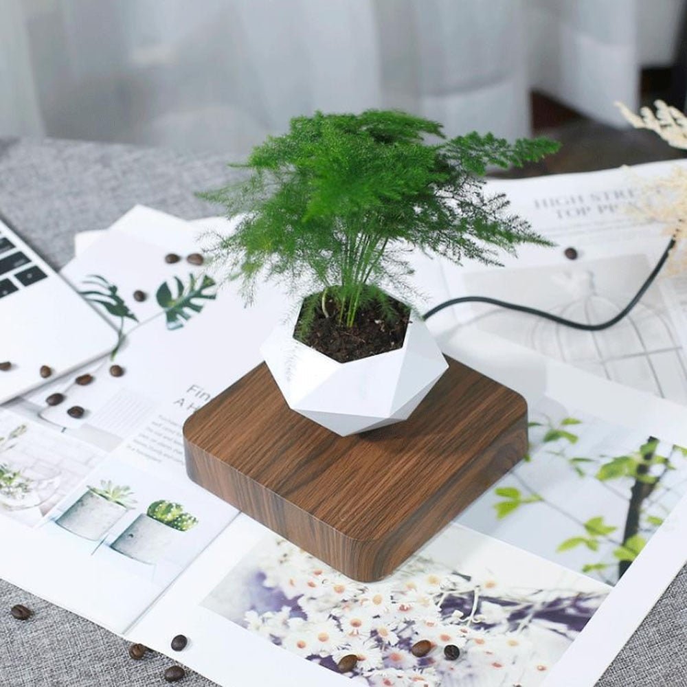 Royallure Magnetisk Levitation Luftväxtkruka - svävande geodetisk växtbehållare med roterande design och upphängd reservoar | Veska Mörk färg