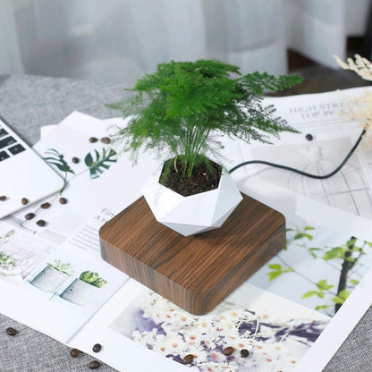 Royallure Magnetisk Levitation Luftväxtkruka - svävande geodetisk växtbehållare med roterande design och upphängd reservoar | Veska Mörk färg