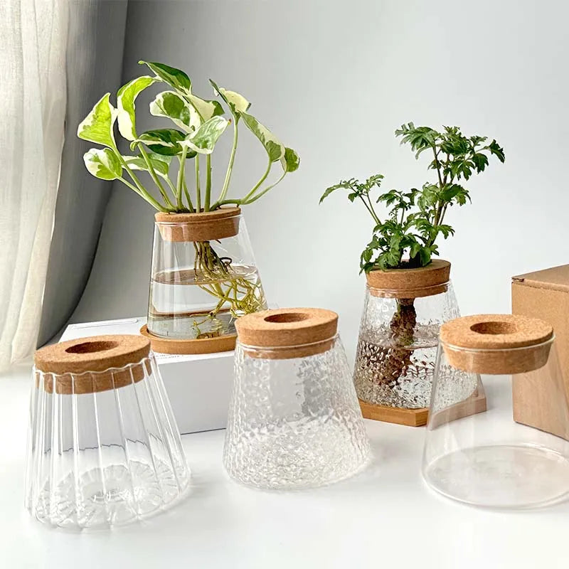 Royelux Hydroponisk Glas Växtvas med Träbas | Veska