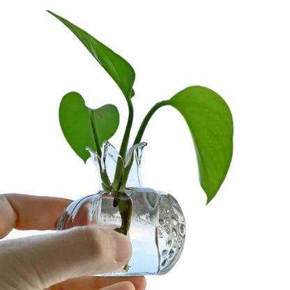 Royelux Nordic Granatäpple Glas Vaso | Veska Transparent Klein
