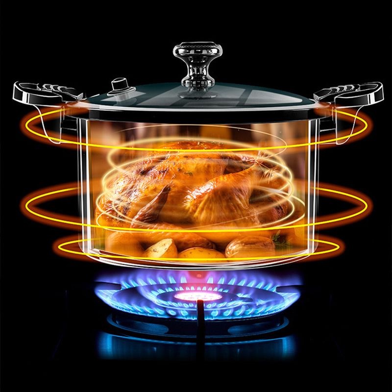 SchnellGenuss® - Enkelt Matlagning med Mikropressure Cooker | 50% RABATT | Veska