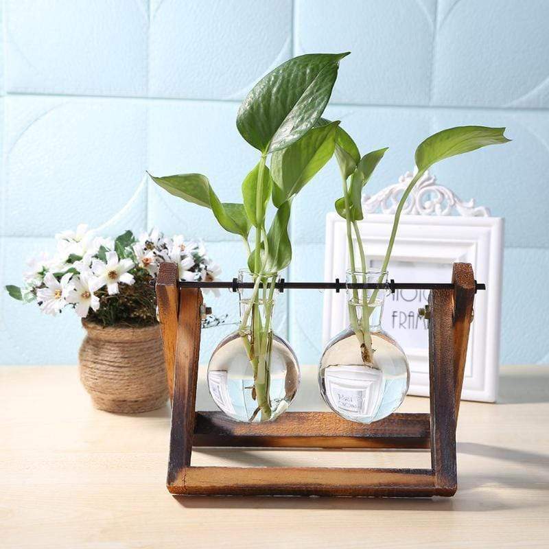 Scientist Propagation Station | Veska
