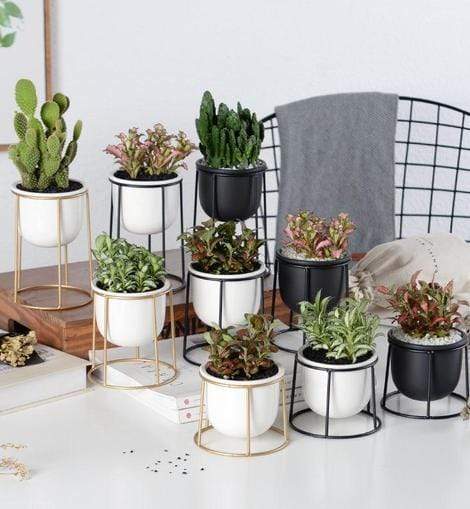 Set av 3 Blomkrukor | Veska