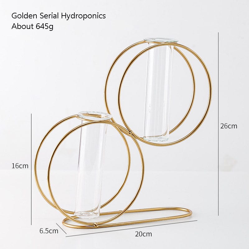 Skandinavisk stil enkel geometrisk metall smidd järn transparent glas hydroponisk vas | Veska Dubbel rund dubbel rör
