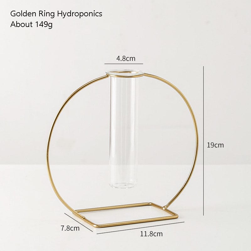 Skandinavisk stil enkel geometrisk metall smidd järn transparent glas hydroponisk vas | Veska Enkel cirkel Enkel rör