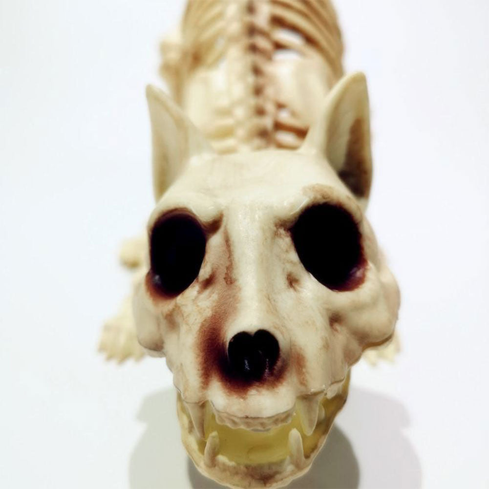 Skelett Husdjurs Figurer | Veska