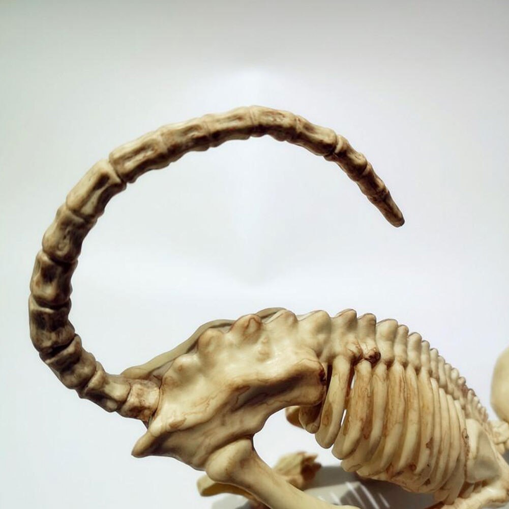 Skelett Husdjurs Figurer | Veska