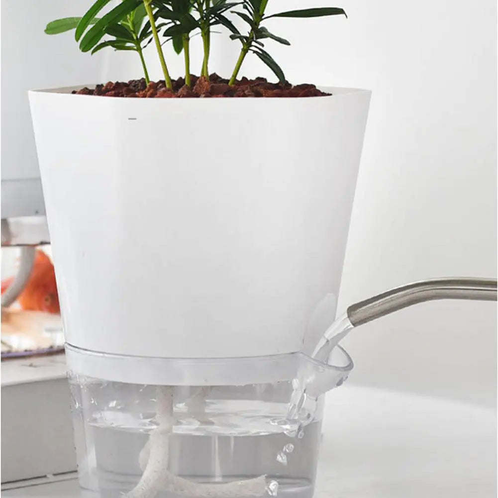 Smartare Veskaomkruka och mini-akvarium i ett | Veska