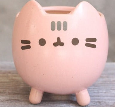 Söt katt succulent växtkruka | Veska Rosa