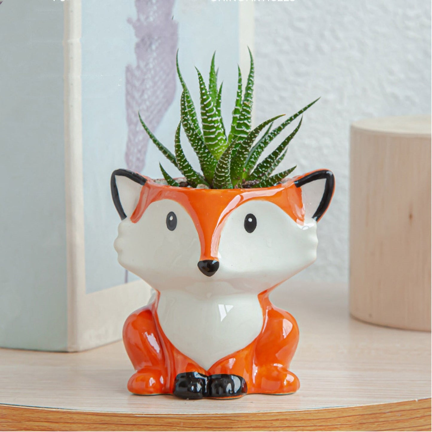 Sukulent Djurkruka Kollektion | Veska Fuchs