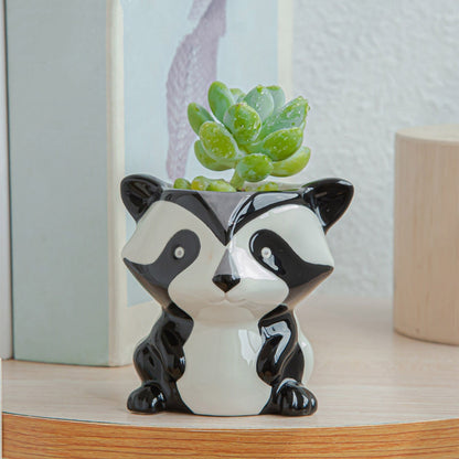 Sukulent Djurkruka Kollektion | Veska Panda