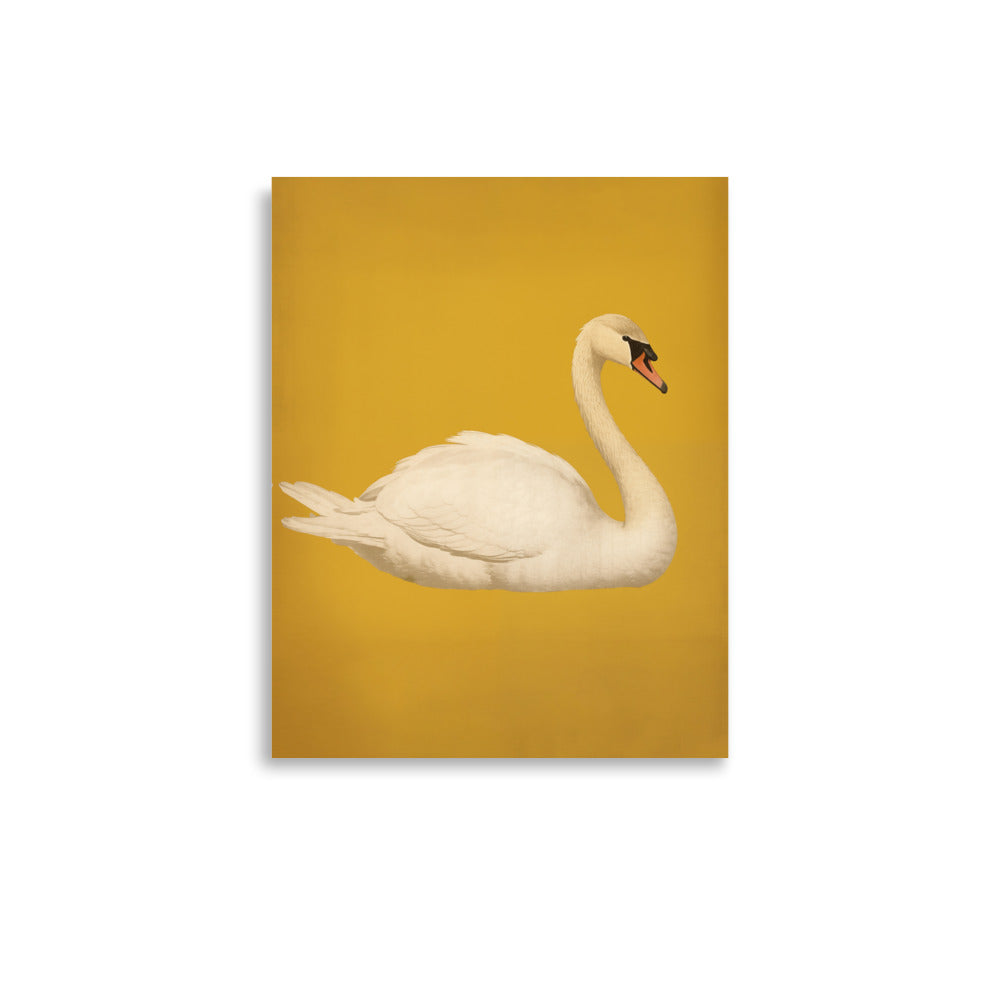 Swan | Veska 11″×14″