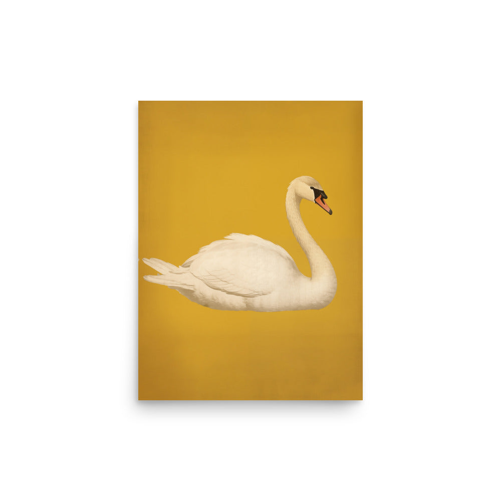 Swan | Veska 12″×16″