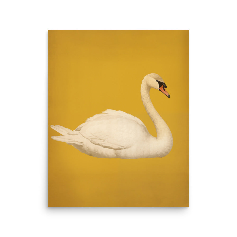 Swan | Veska 16″×20″