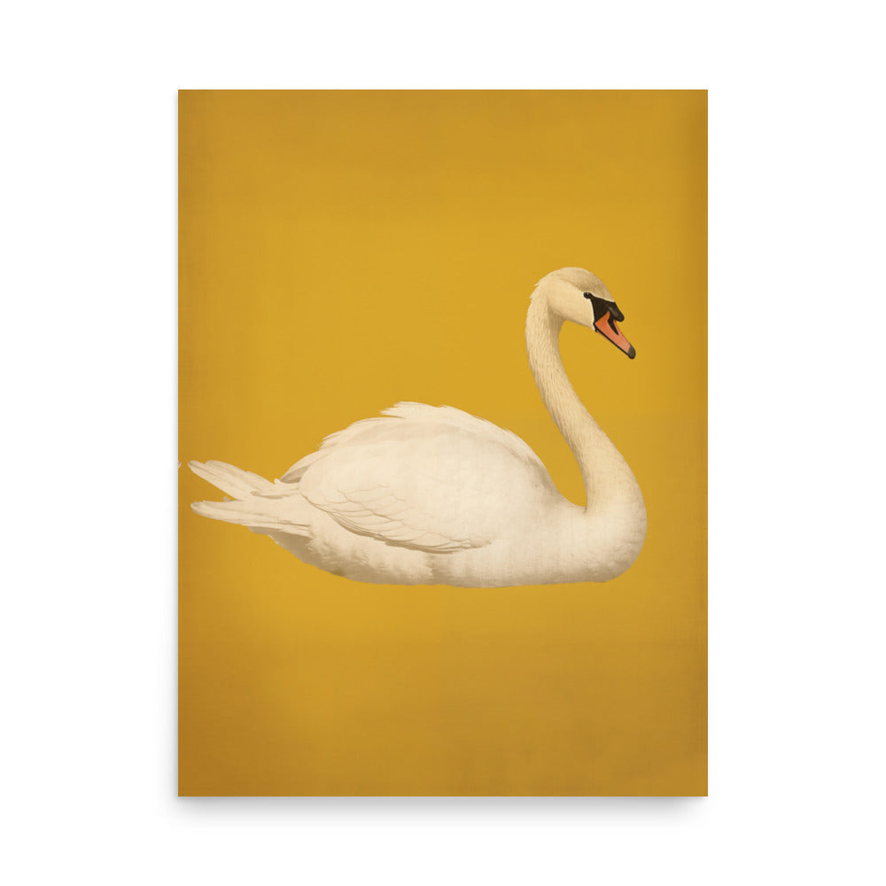 Swan | Veska 18″×24″