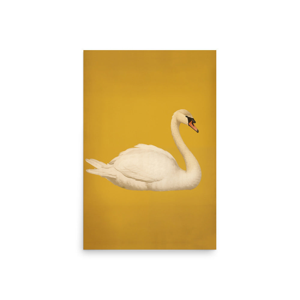 Swan | Veska 20″×30″