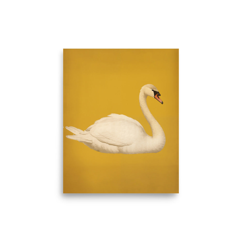 Swan | Veska 8″×10″