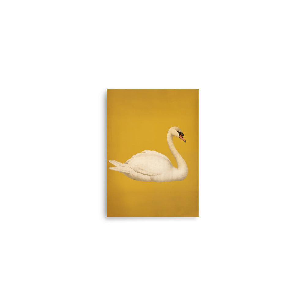 Swan | Veska 5″×7″