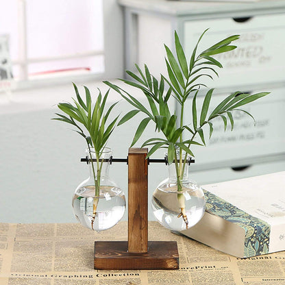 Terrarium Glaskruka | Veska