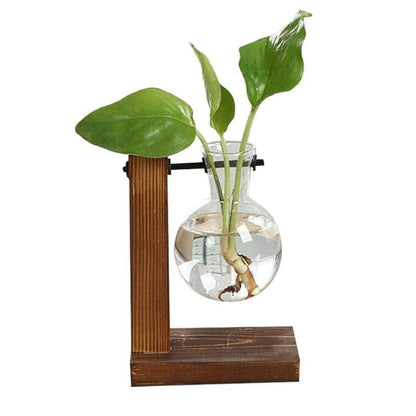 Terrarium Glaskruka | Veska A