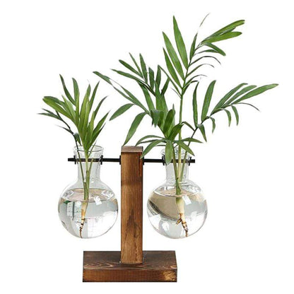 Terrarium Glaskruka | Veska B