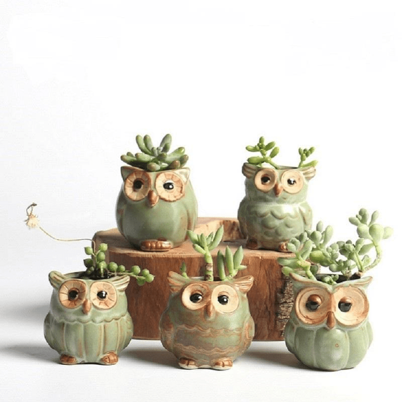 Uggla Keramikk Blomkruka Set 5st | Veska