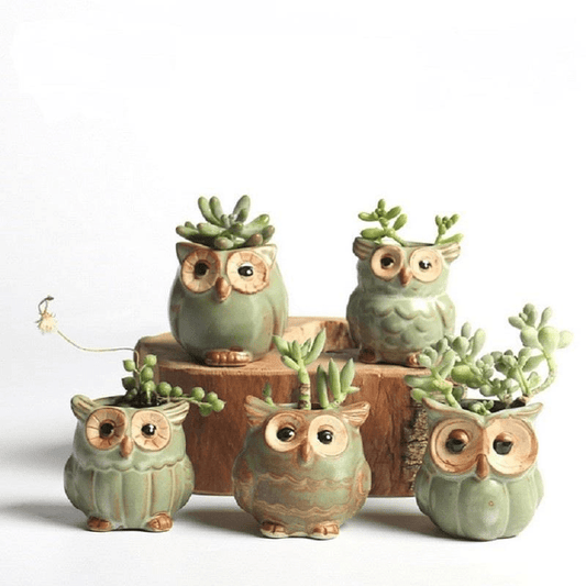 Uggla Keramikk Blomkruka Set 5st | Veska