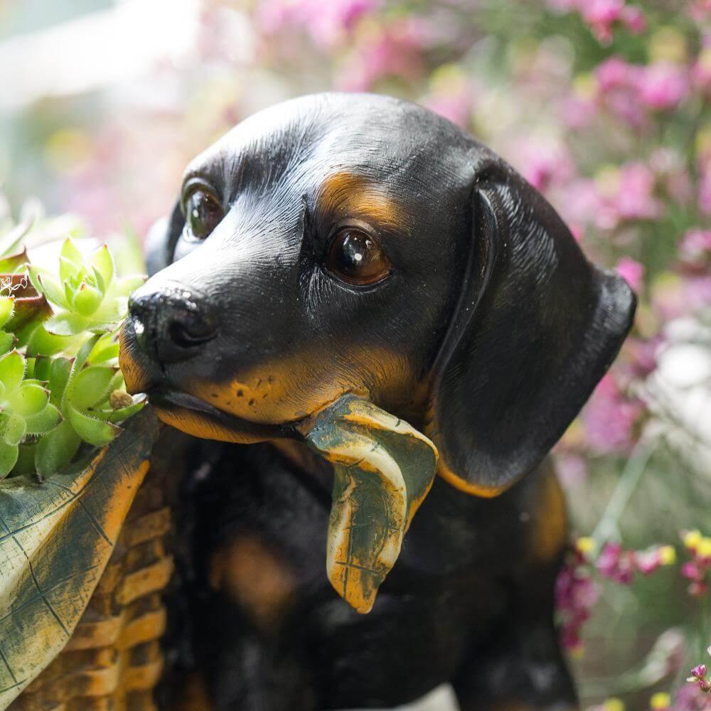 Underbara Shepherd Dekorativ Blomkruka | Veska