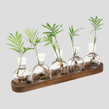 Vas - Elegant Hydroponisk Glasvas | Veska