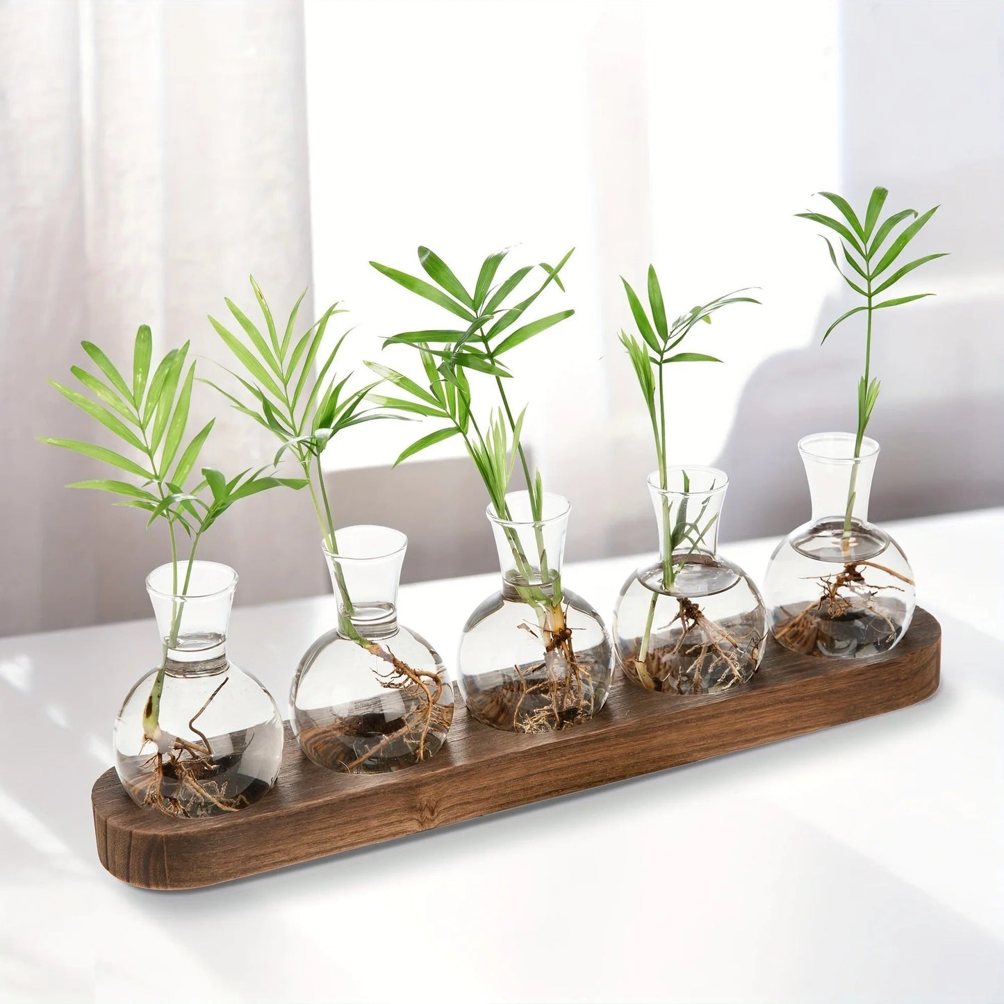 Vas - Elegant Hydroponisk Glasvas | Veska