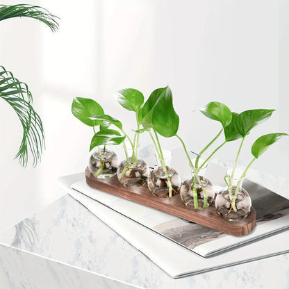 Vas - Elegant Hydroponisk Glasvas | Veska