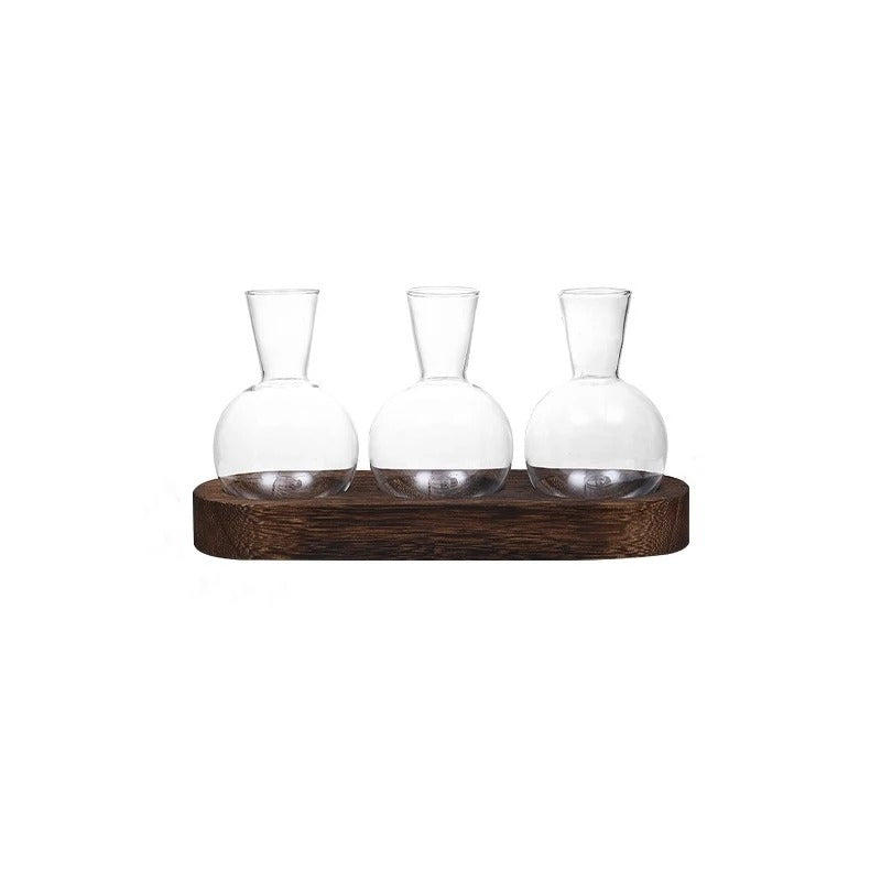 Vas - Elegant Hydroponisk Glasvas | Veska A