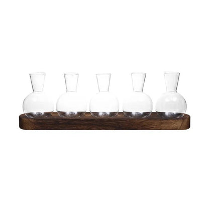 Vas - Elegant Hydroponisk Glasvas | Veska B