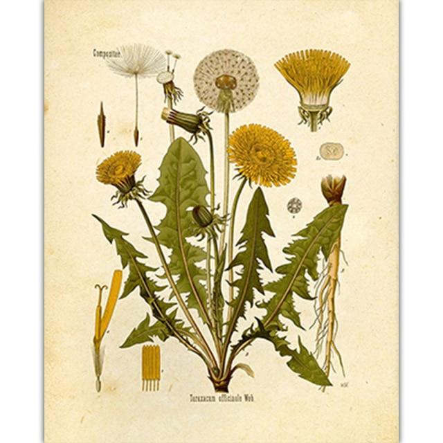 Vild Blommor Väggkonst | Veska 1