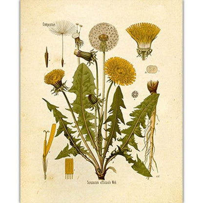 Vild Blommor Väggkonst | Veska 1