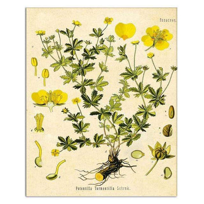 Vild Blommor Väggkonst | Veska