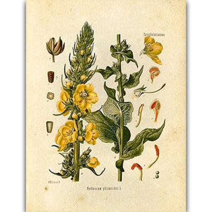 Vild Blommor Väggkonst | Veska 10