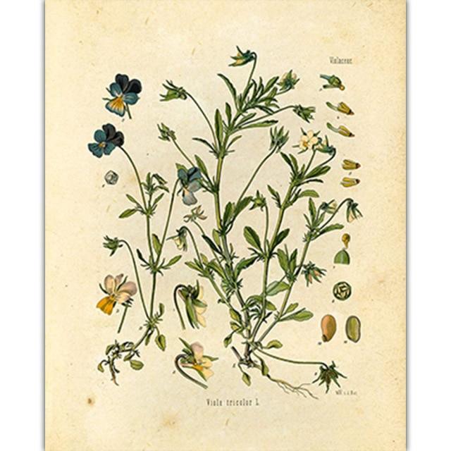 Vild Blommor Väggkonst | Veska 3