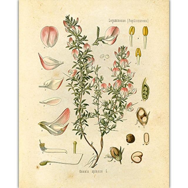 Vild Blommor Väggkonst | Veska 4