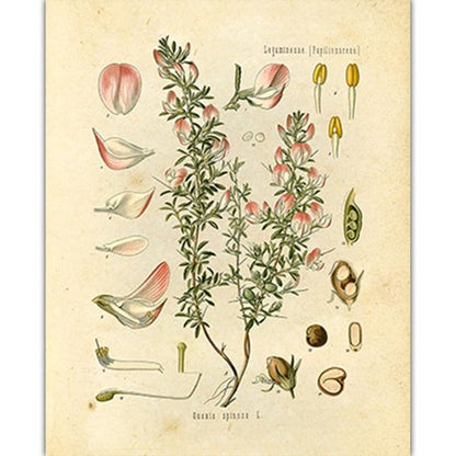 Vild Blommor Väggkonst | Veska 4