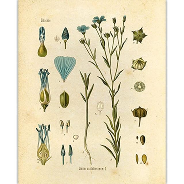 Vild Blommor Väggkonst | Veska 6