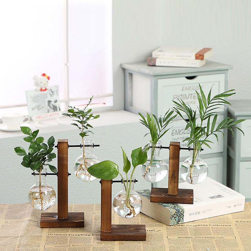 Vintage Garden - Träram Terrarium Hydroponisk Växtvas | Veska