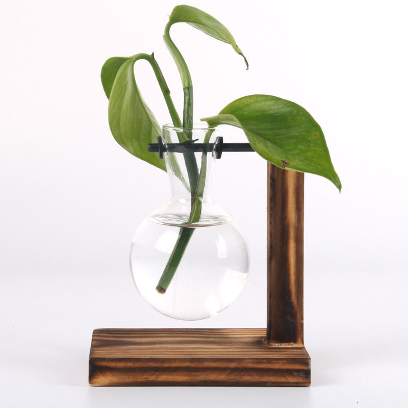 Vintage Garden - Träram Terrarium Hydroponisk Växtvas | Veska