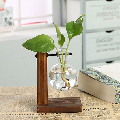 Vintage Garden - Träram Terrarium Hydroponisk Växtvas | Veska Enkel flaska