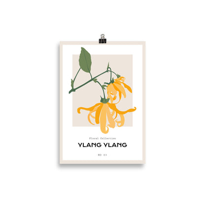 Ylang Ylang | Veska