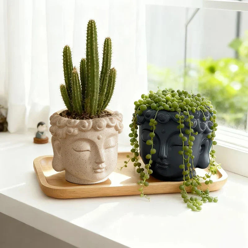 Zen Buddha Suculent Planter | Veska