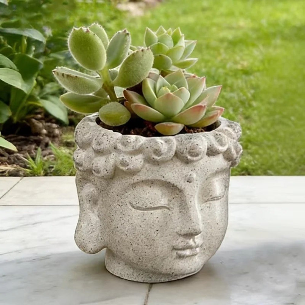 Zen Buddha Suculent Planter | Veska Beige